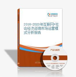 2016-2021年互联网+社会经济咨询市场运营模式研究咨询报告